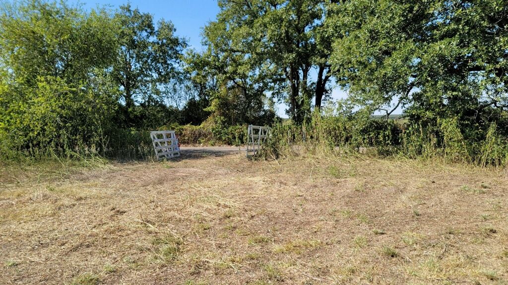 Looking back towards front gate